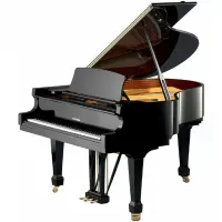 Рояль W. Hoffmann Tradition T 161 черный, полированный