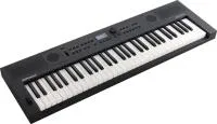 Roland GO:KEYS-5-GT Синтезатор, 61 клавиша, 200 тембров, 1000 сэмплов, Bluetooth, USB, Midi, 950х395х87 мм, вес 5,1 кг, цвет GRAPHITE