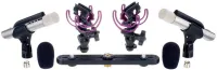 ASTON MICROPHONES Aston Microphones STARLIGHT Stereo Pair Подобранная пара...