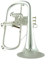 Флюгельгорн CarolBrass CFL-6200-GSS-Bb-S