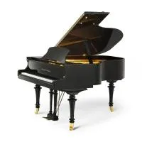 Kayserburg gdh170 (a111)  акустический рояль с pianodisc, длина 170 см, цвет чёрный полированный