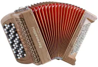 Аккордеон Serenellini 373W