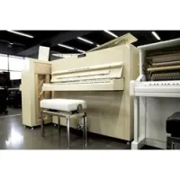 Sauter peter maly edition pure noble 122 ivory polished  дизайн пианино, 122, слоновая кость