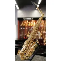 Stephan weis as-200g sale  альт-саксофон, корпус и клапаны - золотой лак, контурный жесткий кейс