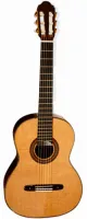 Classical guitar Amalio Burguet Studio Cedar - Torres design model with solid rosewood body and cedar top.
