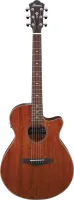 IBANEZ AEG220-LGS