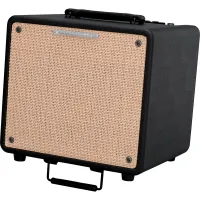 IBANEZ T80N-U TROUBADOUR ACOUSTIC COMBO - Комбоусилитель для акустической гитары