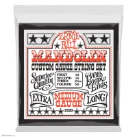 ERNIE BALL 2320 Stainless Steel Medium 10-30 - Струны для мандолины
