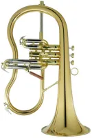 Флюгельгорн CarolBrass Legendary CFL-7200-GSS-Bb-LNB