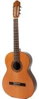 118 S Гитара концертная 3/4 классическая испанская гитара Raimundo Guitarras  модель 118