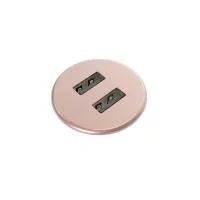 FORMING FUNCTION 9353003012- Встраиваемая металлическая зарядная станция серии Powerdot с 2xUSB, розовый кварц