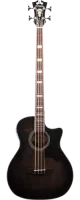 Акустическая бас-гитара D'Angelico Premier Mott PB-700-GRB