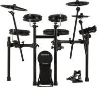 Roland Td-313