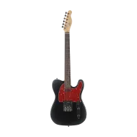SQOE Setl300 black электрогитара Telecaster S+S