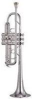 Yamaha YTR-8445S  труба C профессиональная, тяжелая, посеребренная, yellow brass bell