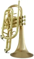 Корнет Bb CarolBrass CCR-3880-GSS-Bb-SLB