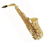 Selmer Series III Alto VO  саксофон альт Eb профессиональный , золотой лак, с кейсом LIGHT