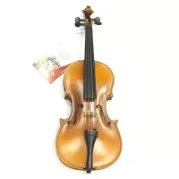Комплект скрипичный Karl Hofner H8E-V 1/2