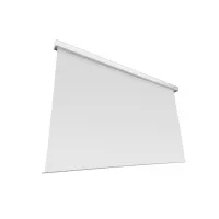Экран с электроприводом Da-lite Studio Electrol 441" 16:10 Область просмотра 594x950 см Matte White (10130794)