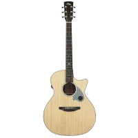 Tyma TG-5TE (P) трансакустическая гитара в комплекте с аксессуарами