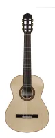 Torres-650-RS Классическая гитара, Martinez