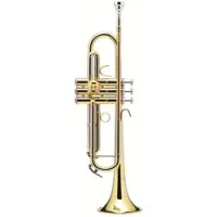Bands bs210-1-0  prodige труба bb, латунь, лакированная, с чехлом, 11,68/123