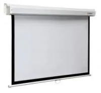 Digis dssm-164008 Экран настенный (space, формат 16:9, 175", 300*400, рабочая поверхность 218*388, mw)