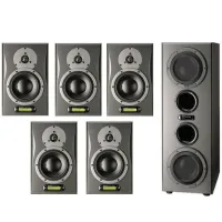 DYNAUDIO AIR12 D сет 5.1 - Акустический комплект