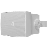 AUDAC WX302MK2/W Корпусная, двухполосная АС. 30 Вт/8Ом. 20Вт/100В. Цвет: Белый.
