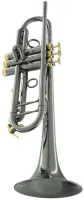 Труба Bb CarolBrass CTR-5060H-GSS-Bb-BG