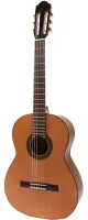 Электрифицированная гитара Raimundo 120E