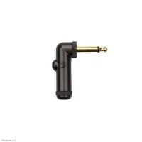PLANET WAVES PW-AGRAP-1 - Разъем