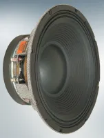 18SWS800, Динамик Selenium 18SWS800