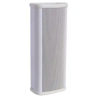 DSSCL-110 Речевой оповещатель, всепогодный, колонного типа, излучатели 2х2.5", мощность 10/15 Вт (100 В), корпус алюминий, цвет белый, 106х75х262 мм, вес 1,4 кг, DSS