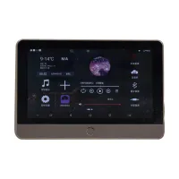 DS-ZN206 Настенный трансляционный проигрыватель профессиональный, TADS