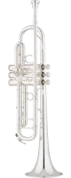 Труба Bb S.E.Shires TRQ10RS