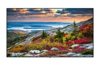 Профессиональный дисплей Panasonic [TH-65CQE1W] 3840х2160,5000:1,400кд/м2