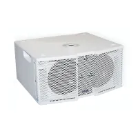 FBT VERTUS CLA 208SA W - активный сабвуфер 2х8', 600 Вт, 125/129 дБ SPL (ЦВЕТ БЕЛЫЙ)
