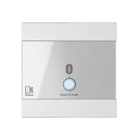 AUDAC WP220/W Панель удалённого Bluetooth-приёмника, универсальная. Цвет: белый.
