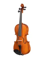 Gliga Gems 1 AW-V034 3/4 Скрипка 