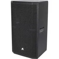 Axiom ED120P- Пассивная акустическая система 12'' с несимметричной диаграммой направленности, 680–1360 Вт, черного цвета