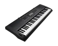 CTK-3000 Синтезатор 61 клавиша Casio