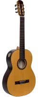 Классическая гитара NewTone SilenaS