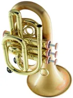 Карманная труба Bb CarolBrass CPT-3002-RLM(D)-Bb-SLB