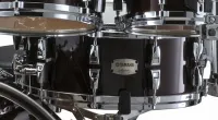 Малый барабан Yamaha Absolute Hybrid Maple AMS1460 Classic Walnut