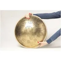 ORIONDRUM OrR10DCM - Барабан язычковый