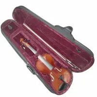 C-4/4 Футляр скрипичный со смычком Strunal