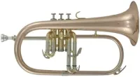 Roy Benson FH-302G Флюгельгорн 