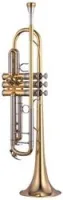 Yamaha YTR-8345GS  труба Bb профессиональная, тяжёлая, посеребренная, gold brass bell