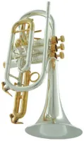 Корнет Bb CarolBrass CCR-6880-GSS-Bb-SGG